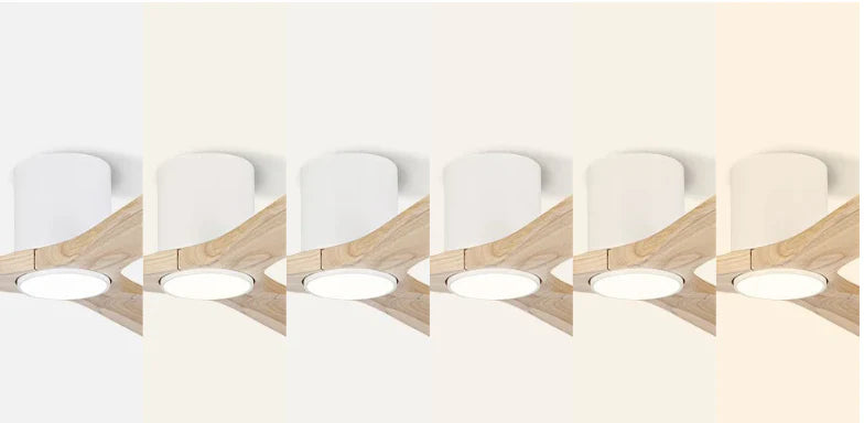 Create the perfect atmosphere: the most customizable LED-lit ceiling fan on the market.